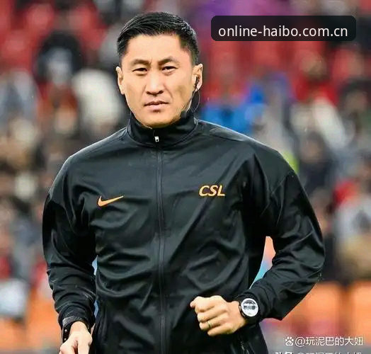 世界杯裁判马宁的“避坑”哲学：海博体育平台深度评测体验